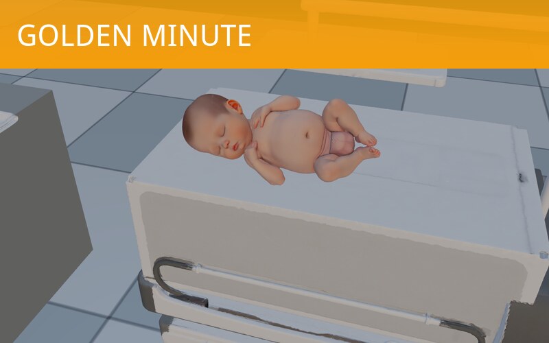 The Golden Minute