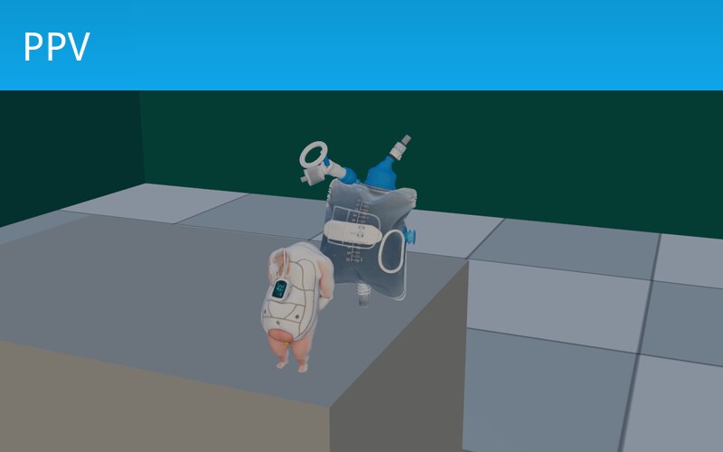Positive Pressure Ventilation (PPV)